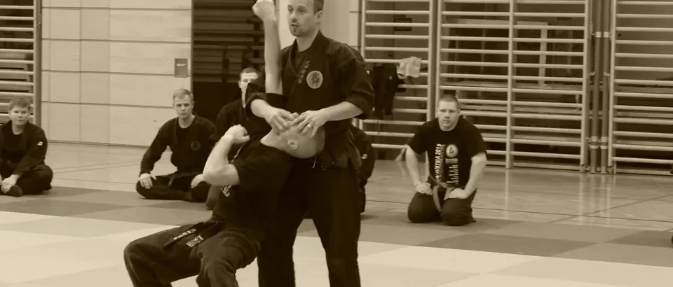 Budō Taijutsu